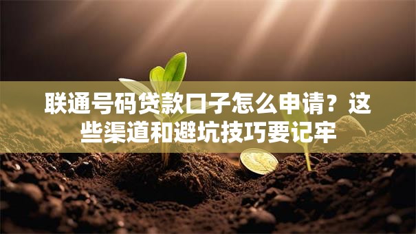 联通号码贷款口子怎么申请？这些渠道和避坑技巧要记牢