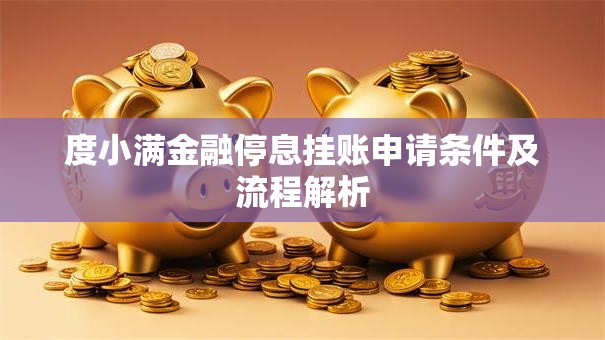 度小满金融停息挂账申请条件及流程解析