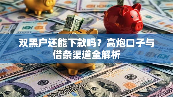 双黑户还能下款吗？高炮口子与借条渠道全解析