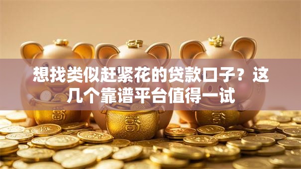 想找类似赶紧花的贷款口子？这几个靠谱平台值得一试