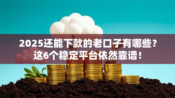 2025还能下款的老口子有哪些？这6个稳定平台依然靠谱！