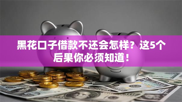 黑花口子借款不还会怎样？这5个后果你必须知道！