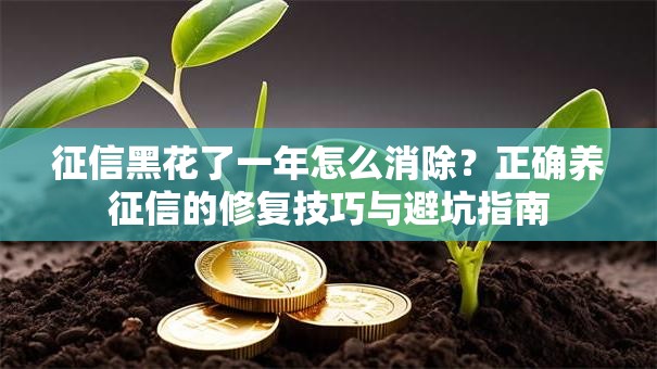 征信黑花了一年怎么消除？正确养征信的修复技巧与避坑指南
