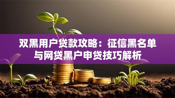 双黑用户贷款攻略：征信黑名单与网贷黑户申贷技巧解析