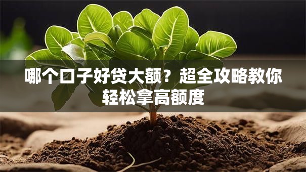 哪个口子好贷大额？超全攻略教你轻松拿高额度