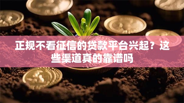 正规不看征信的贷款平台兴起？这些渠道真的靠谱吗