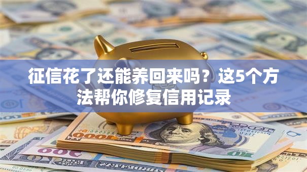 征信花了还能养回来吗？这5个方法帮你修复信用记录