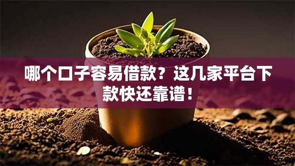 哪个口子容易借款？这几家平台下款快还靠谱！