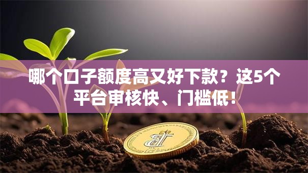 哪个口子额度高又好下款？这5个平台审核快、门槛低！