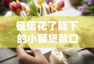征信花了能下的小额贷款口子真实推荐，避坑指南快收藏！