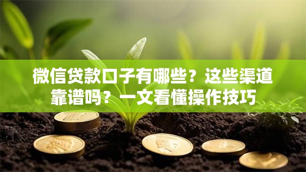 微信贷款口子有哪些？这些渠道靠谱吗？一文看懂操作技巧