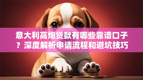 意大利高炮贷款有哪些靠谱口子？深度解析申请流程和避坑技巧