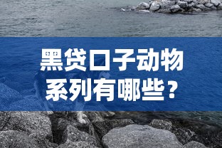 黑贷口子动物系列有哪些？揭秘黑豹灰狼背后的借贷陷阱！