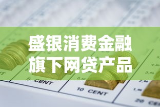 盛银消费金融旗下网贷产品解析：申请条件、流程、用户评价全攻略