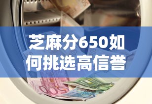 芝麻分650如何挑选高信誉贷款平台？5大避坑指南