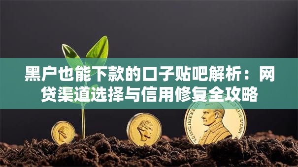 黑户也能下款的口子贴吧解析：网贷渠道选择与信用修复全攻略