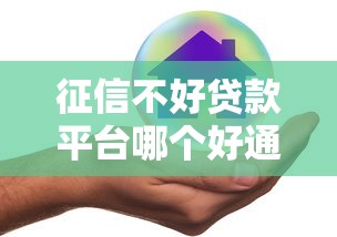 征信不好贷款平台哪个好通过？5个门槛低真实测评平台推荐