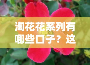 淘花花系列有哪些口子？这5个平台优缺点全解析