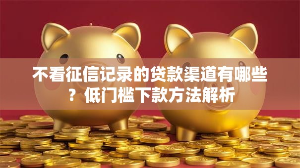 不看征信记录的贷款渠道有哪些？低门槛下款方法解析