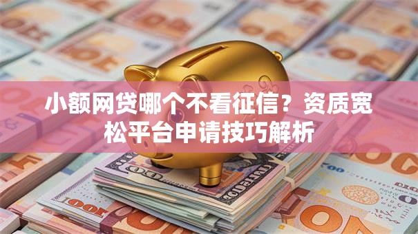 小额网贷哪个不看征信？资质宽松平台申请技巧解析