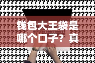 钱包大王袋是哪个口子？真实测评与申请攻略全解析