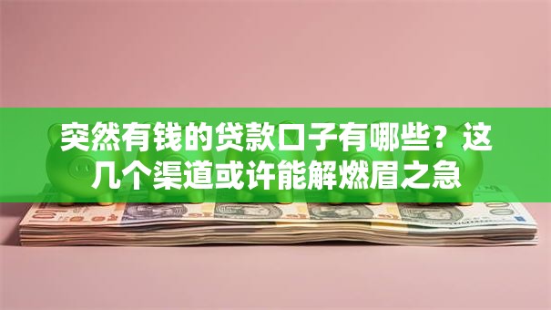 突然有钱的贷款口子有哪些？这几个渠道或许能解燃眉之急