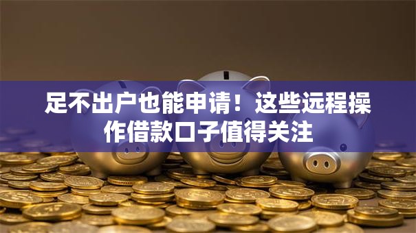 足不出户也能申请！这些远程操作借款口子值得关注