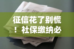 征信花了别慌！社保缴纳必看攻略 贷款人必懂的底层逻辑