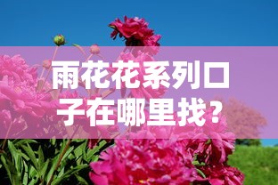 雨花花系列口子在哪里找？真实评测+靠谱渠道全解析