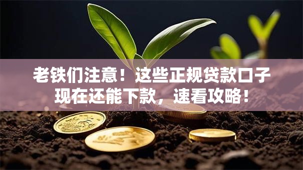 老铁们注意！这些正规贷款口子现在还能下款，速看攻略！
