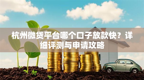 杭州微贷平台哪个口子放款快？详细评测与申请攻略