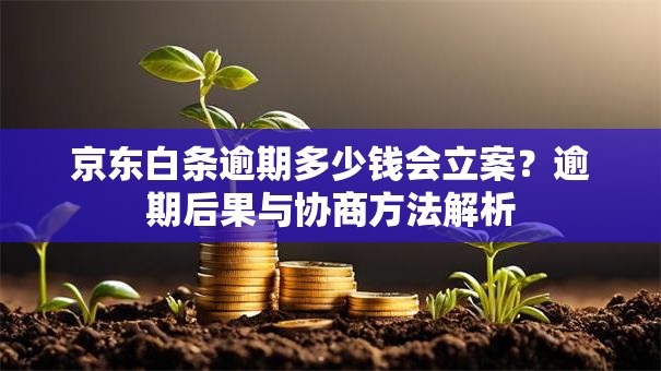 京东白条逾期多少钱会立案？逾期后果与协商方法解析