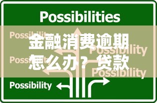 金融消费逾期怎么办？贷款用户必看的应对方法解析