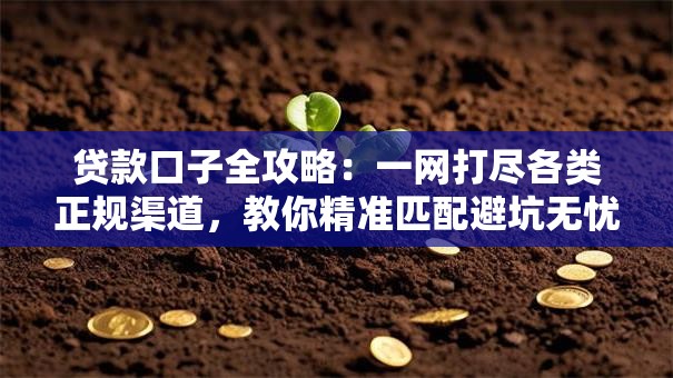 贷款口子全攻略：一网打尽各类正规渠道，教你精准匹配避坑无忧