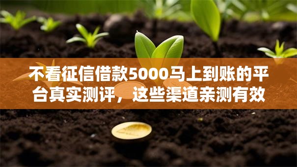 不看征信借款5000马上到账的平台真实测评，这些渠道亲测有效