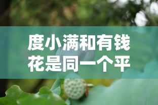 度小满和有钱花是同一个平台吗？深度解析两者区别与关联