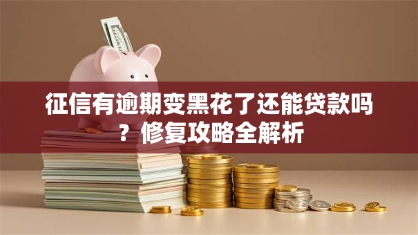 征信有逾期变黑花了还能贷款吗？修复攻略全解析