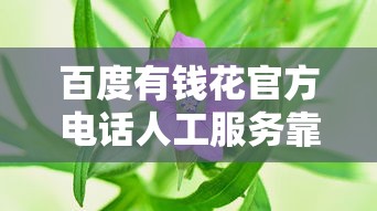 百度有钱花官方电话人工服务靠谱吗？真实解答来了