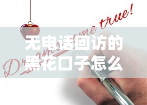 无电话回访的黑花口子怎么申请？这5个细节要注意