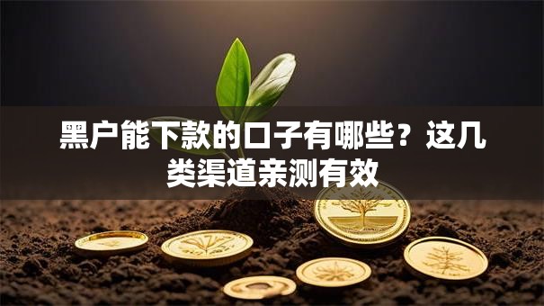 黑户能下款的口子有哪些？这几类渠道亲测有效