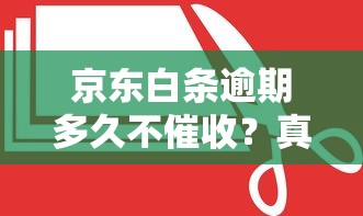 京东白条逾期多久不催收？真实催收规则全解析