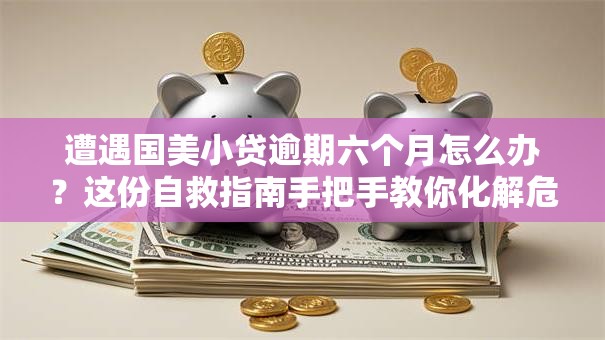 遭遇国美小贷逾期六个月怎么办？这份自救指南手把手教你化解危机