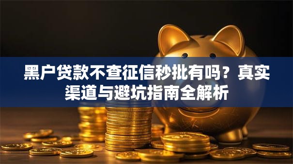 黑户贷款不查征信秒批有吗？真实渠道与避坑指南全解析