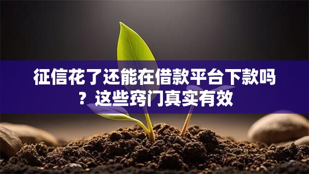征信花了还能在借款平台下款吗？这些窍门真实有效