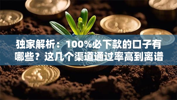独家解析:100%必下款的口子有哪些?这几个渠道通过率高到离谱 独家解析:100%必下款的口子有哪些?这几个渠道通过率高到离谱