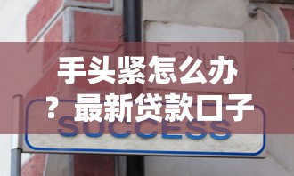 手头紧怎么办？最新贷款口子推荐及下款技巧分享