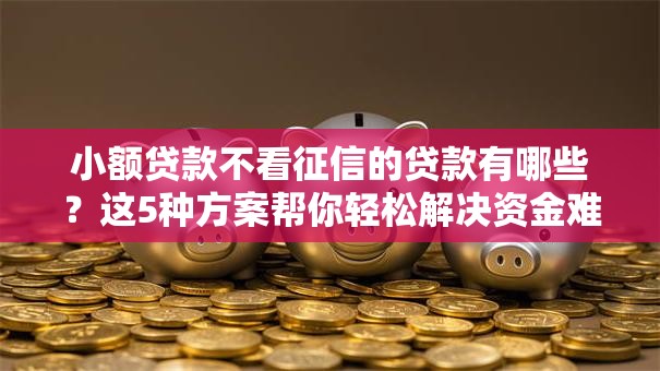 小额贷款不看征信的贷款有哪些？这5种方案帮你轻松解决资金难题！