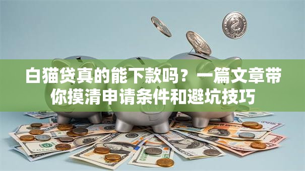 白猫贷真的能下款吗？一篇文章带你摸清申请条件和避坑技巧