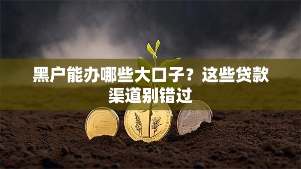 黑户能办哪些大口子？这些贷款渠道别错过