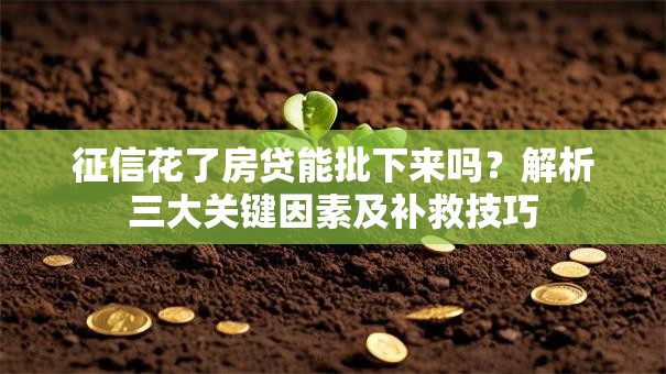 征信花了房贷能批下来吗？解析三大关键因素及补救技巧